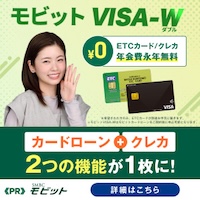 モビット VISA-W