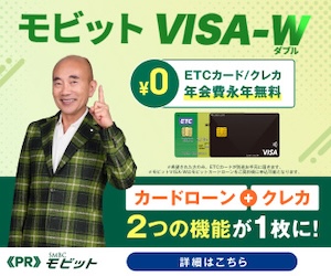 モビット VISA-W